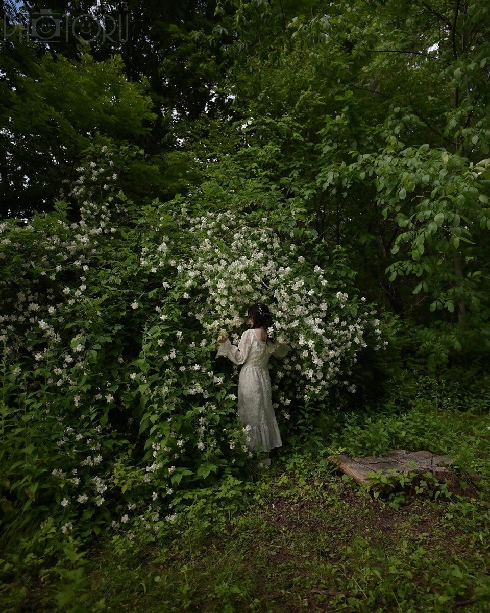 太田光弘のポートフォリオ8