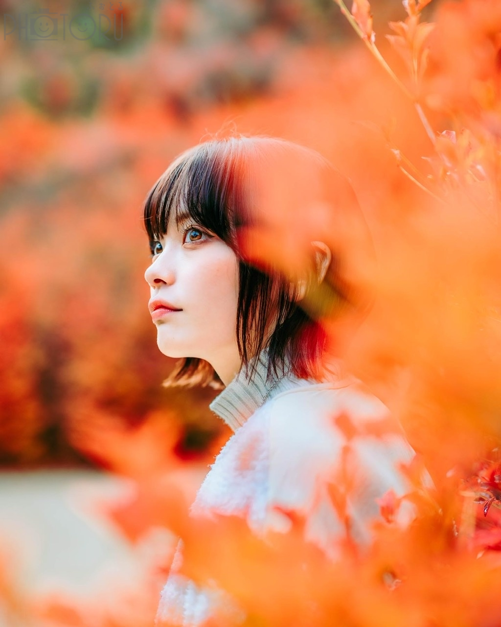 まろくんのポートフォリオ1