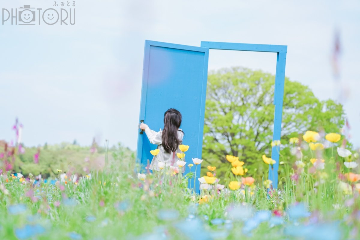 中西容子/よっこのポートフォリオ1