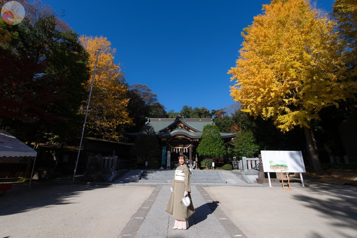 ゆらのポートフォリオ8