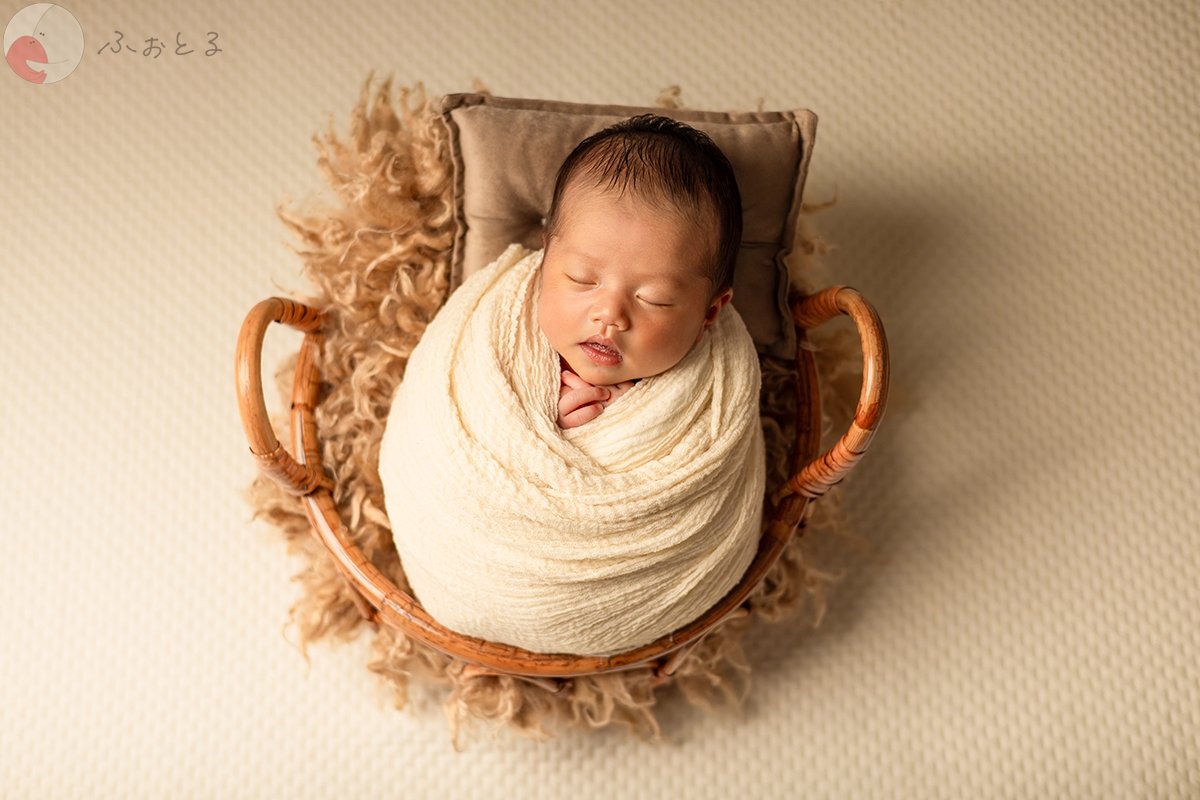 shibaco／しばこ。のポートフォリオ8