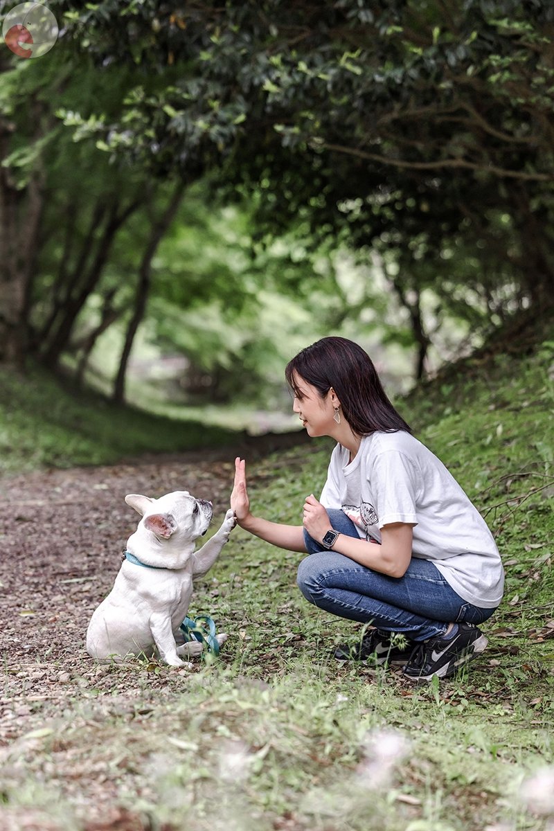 shibaco／しばこ。のポートフォリオ2