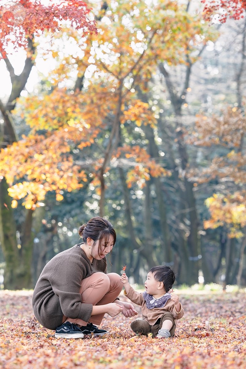 shibaco／しばこ。のポートフォリオ4