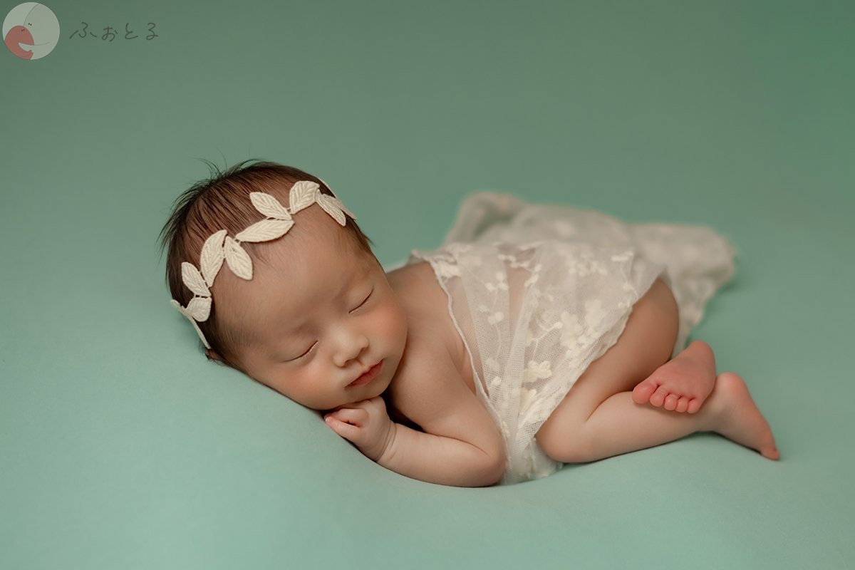 shibaco／しばこ。のポートフォリオ6