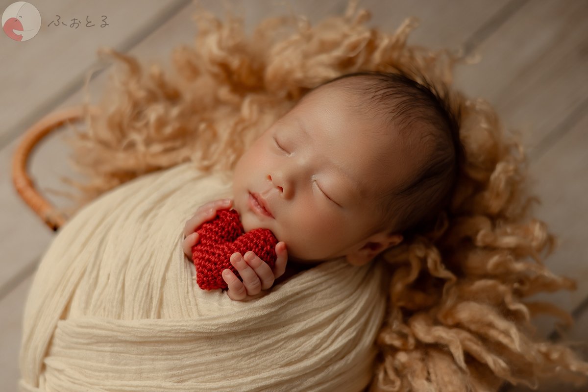 shibaco／しばこ。のポートフォリオ7