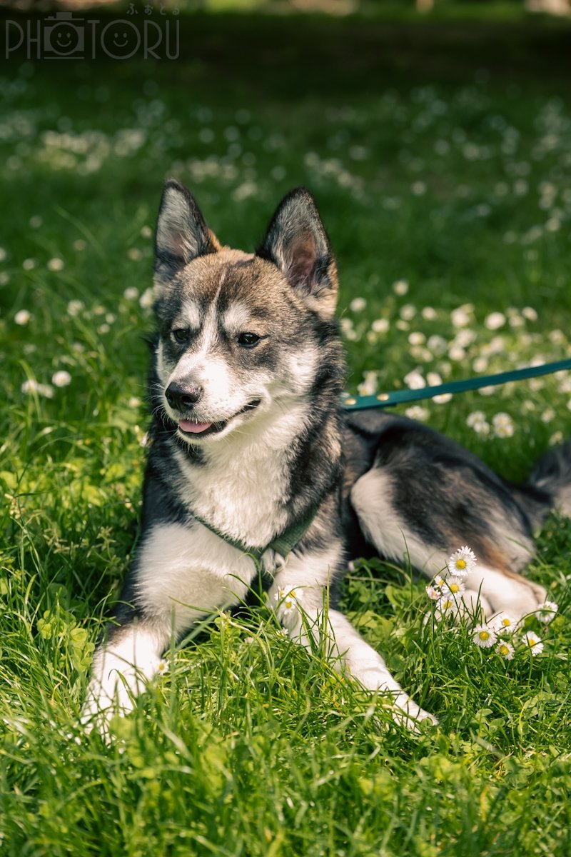 けびんのポートフォリオ1