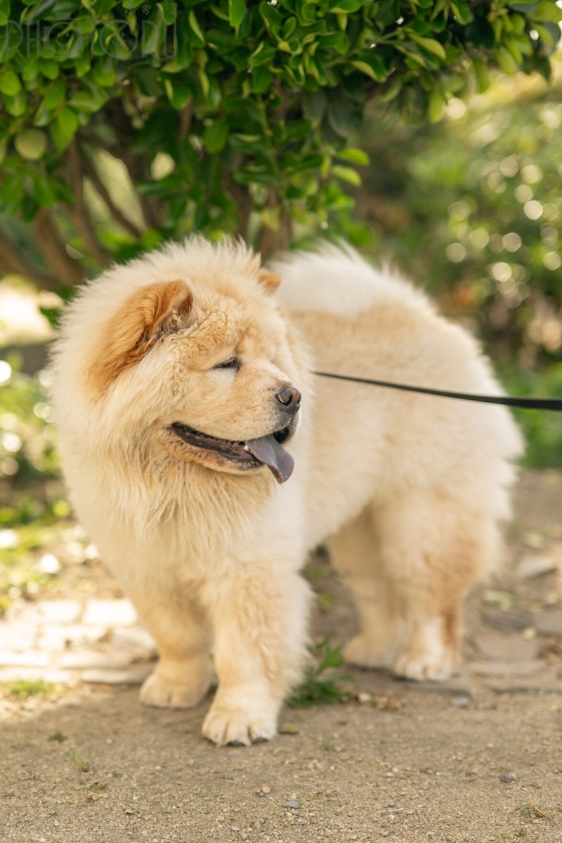 けびんのポートフォリオ0