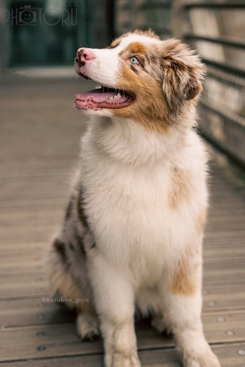 けびんのポートフォリオ3