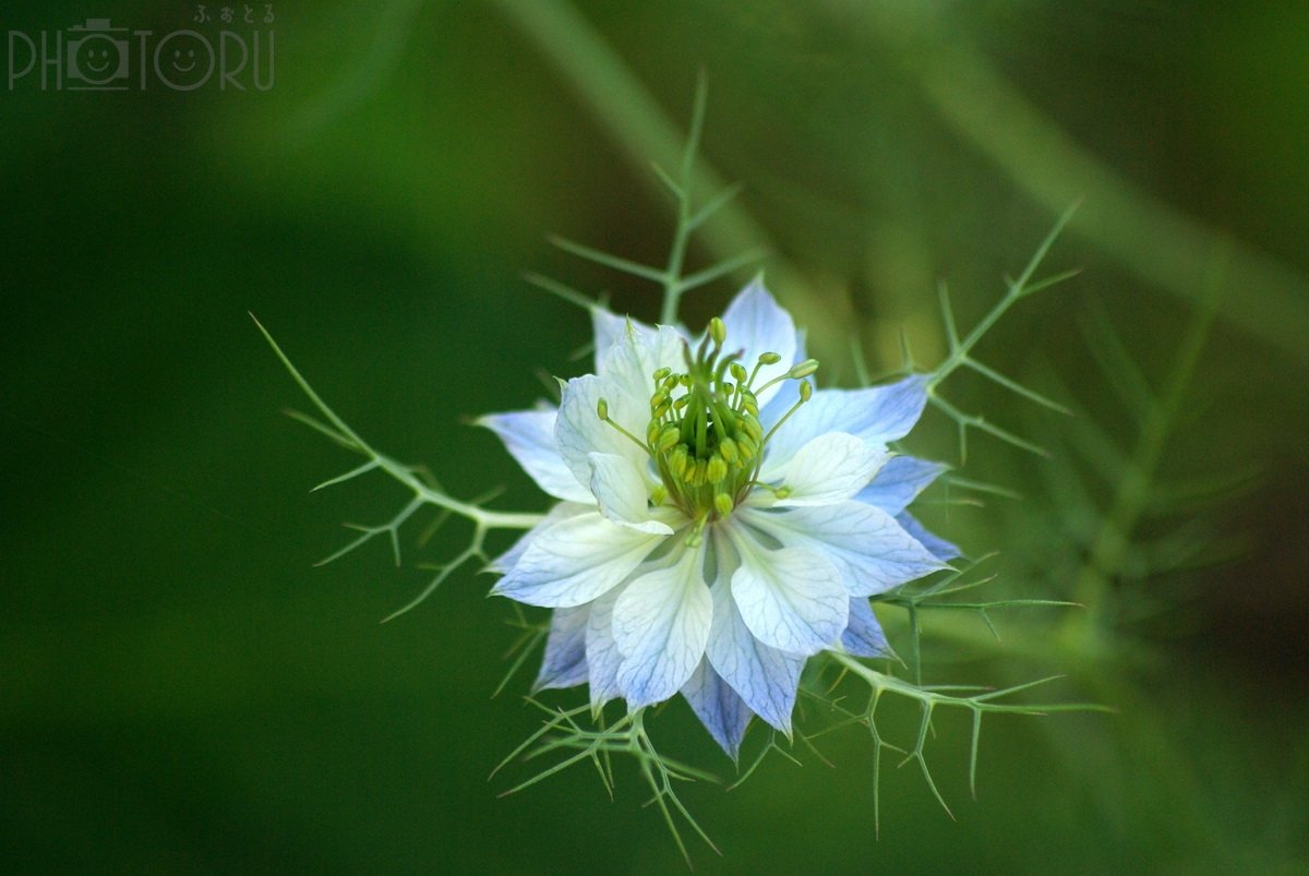 高原　正一のポートフォリオ1