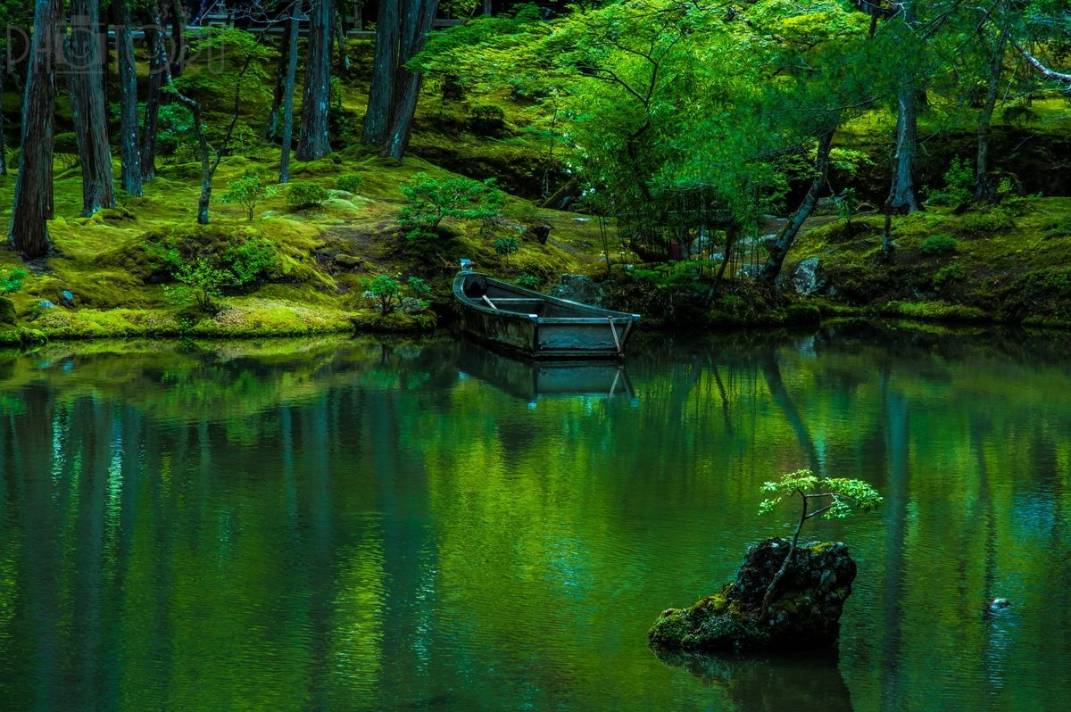 高原　正一のポートフォリオ5