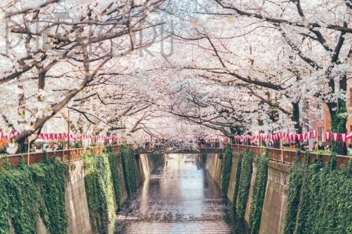 さと