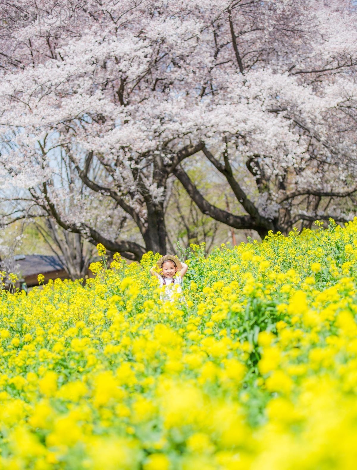 ひがくみこのポートフォリオ4