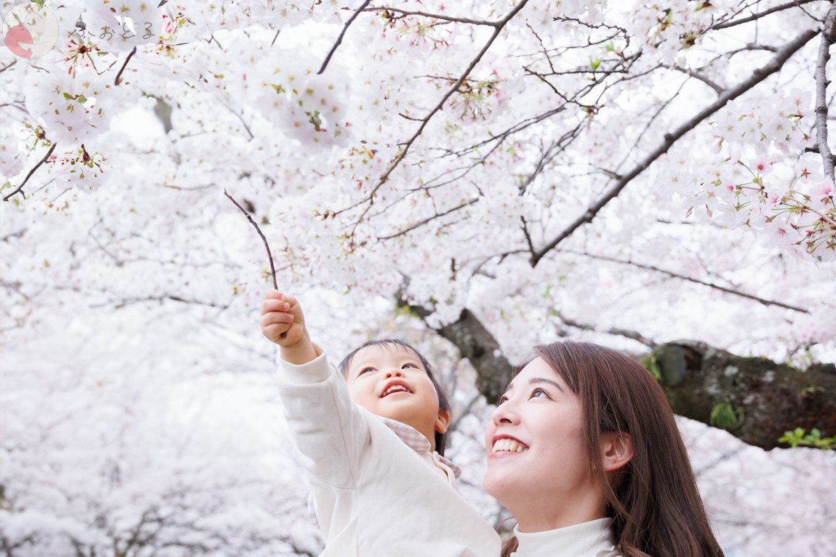 原けんじろうのポートフォリオ9