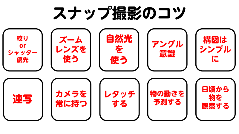 スナップ撮影とは スナップ写真を撮影するコツについても徹底解説 ふぉとるプラス 写真がもっと好きになる総合webメディア