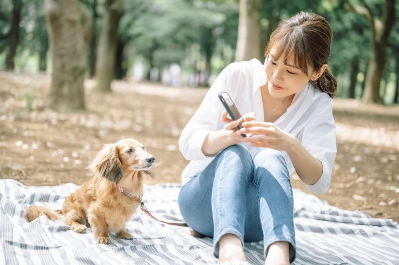 愛犬をもっと可愛く撮れるカメラ 加工アプリを15個紹介 ふぉとるプラス 写真がもっと好きになる総合webメディア