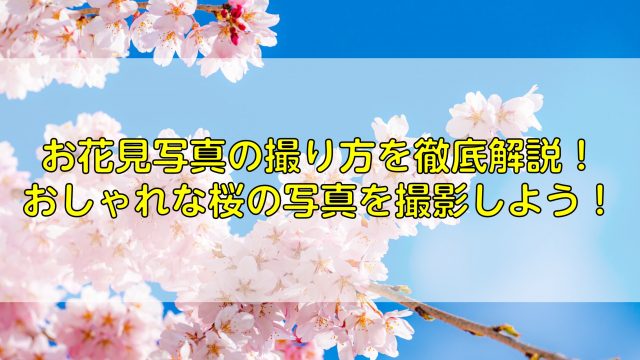 お花見写真の撮り方を徹底解説！おしゃれな桜の写真を撮影しよう！