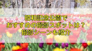 昭和記念公園でおすすめの撮影スポットは？撮影シーンも紹介