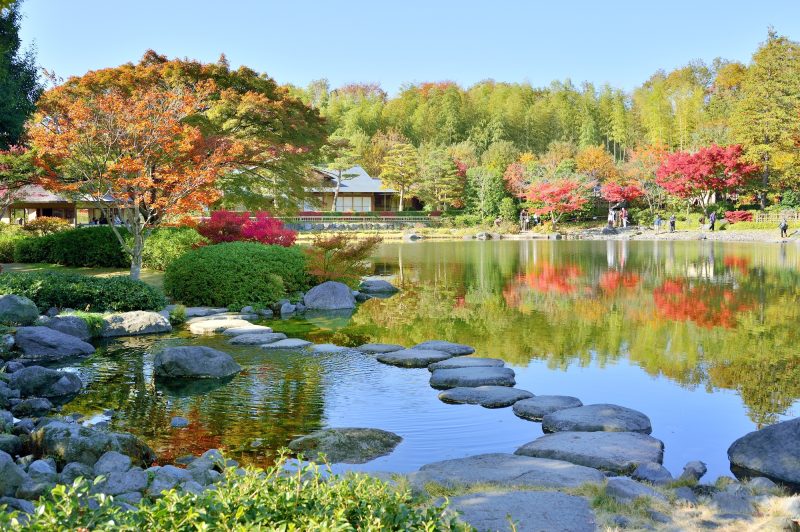 昭和記念公園