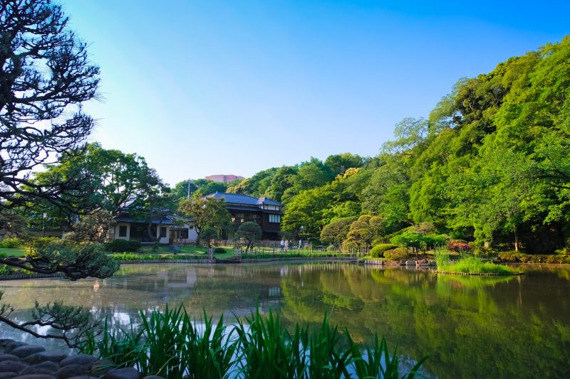 肥後細川庭園