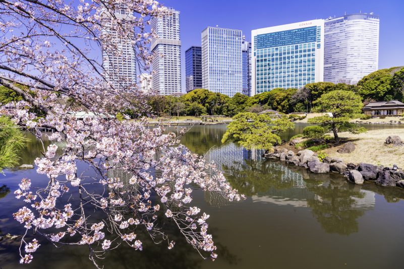 浜離宮恩賜庭園