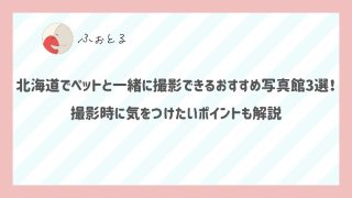 北海道でペットと一緒に撮影できるおすすめ写真館3選！撮影時に気をつけたいポイントも解説