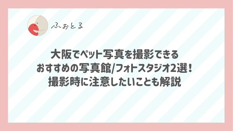 大阪でペット写真を撮影できるおすすめの写真館/フォトスタジオ2選！撮影時に注意したいことも解説