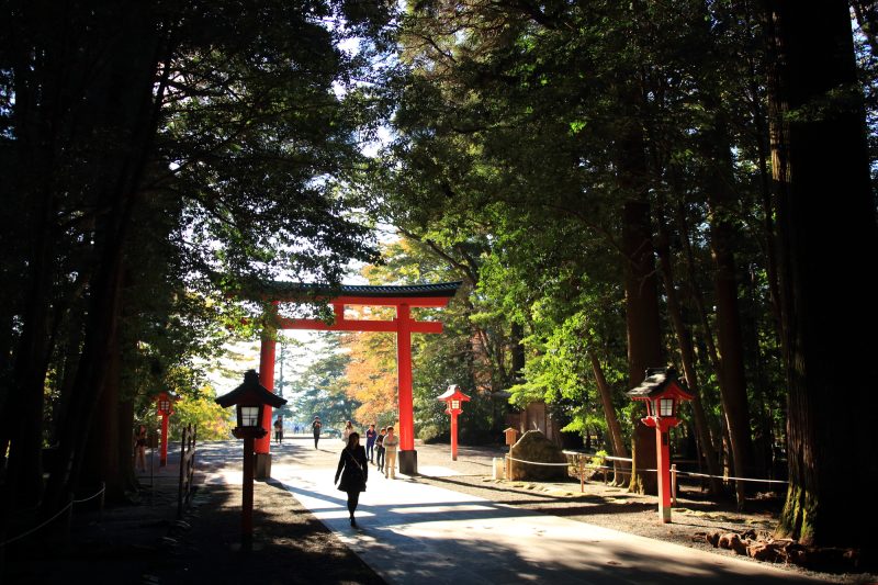 鳥居/影/神社