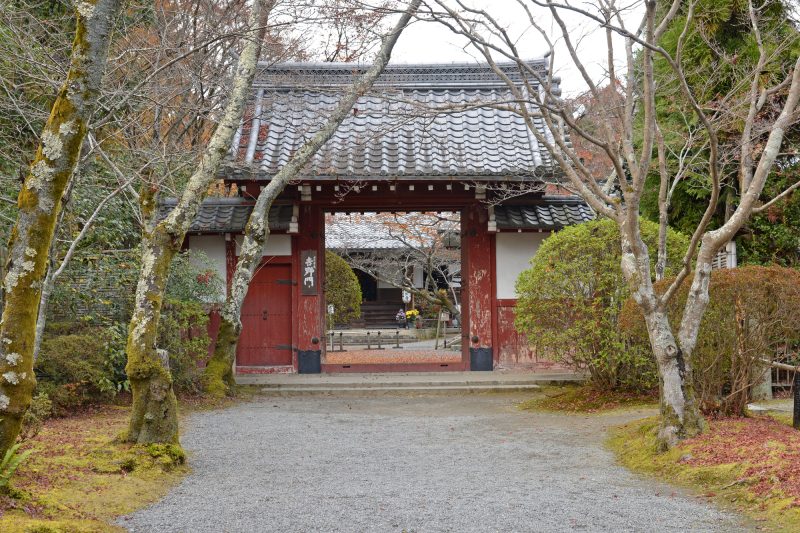 お寺/紅葉